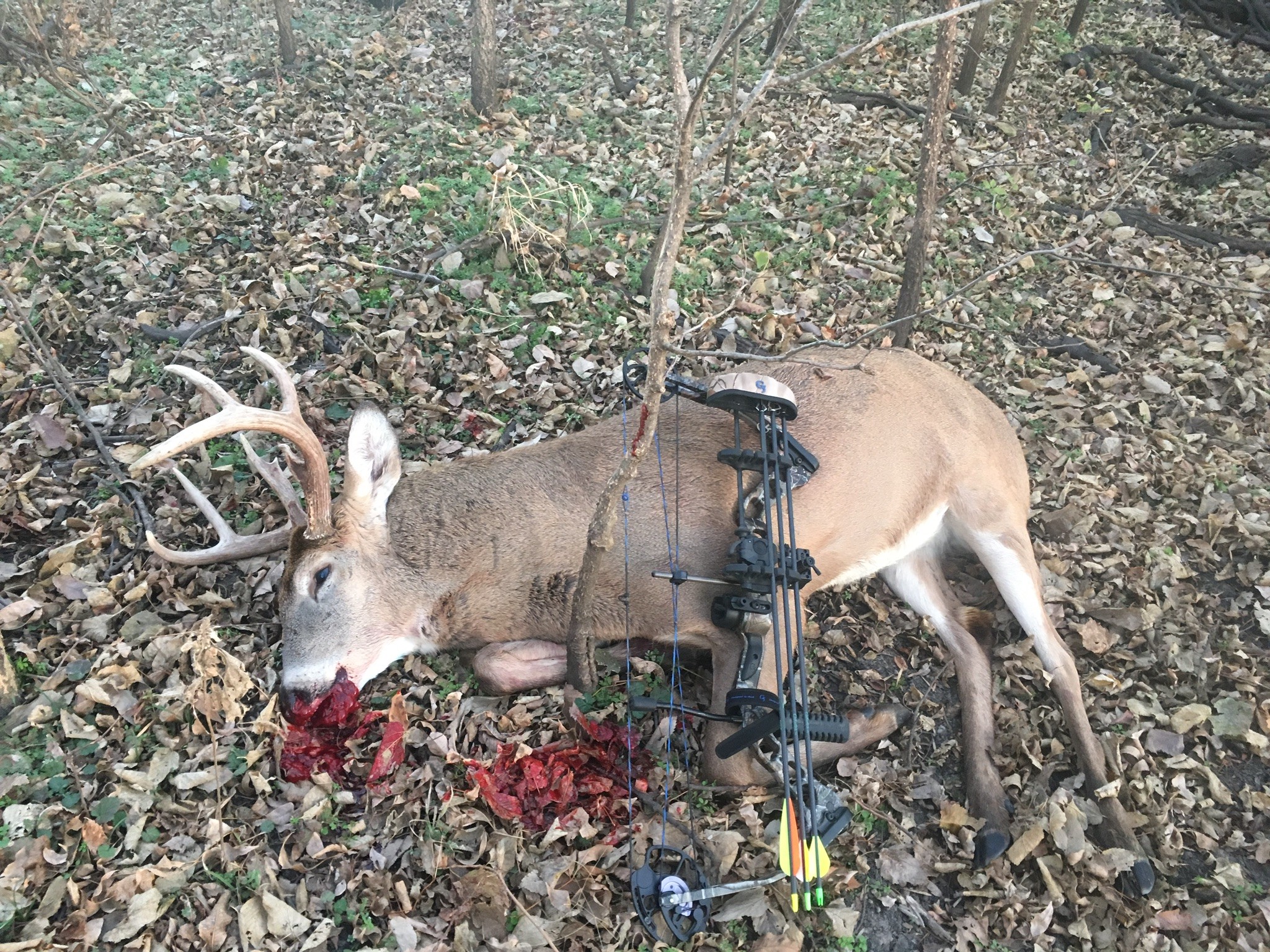 Prime deer hunting